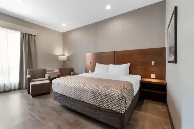 Standard Oda, 1 En Büyük (King) Boy Yatak, Engellilere Uygun, Sigara İçilmez (Walk-in Shower)