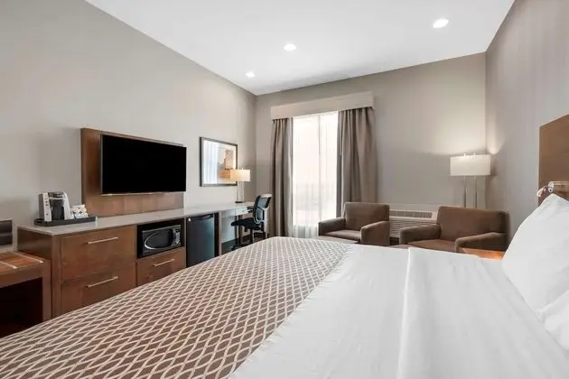Standard Oda, 1 En Büyük (King) Boy Yatak, Engellilere Uygun, Sigara İçilmez (Walk-in Shower)