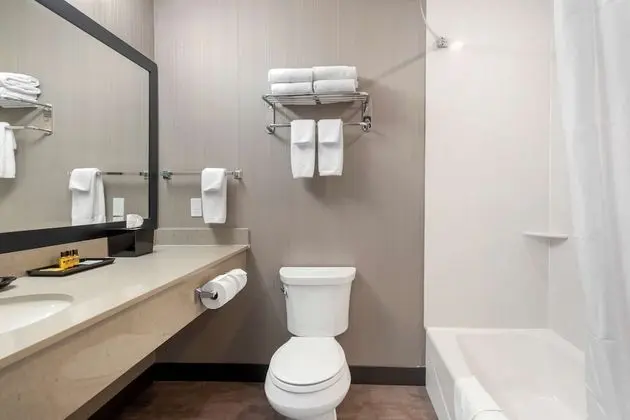 Standard Oda, 1 En Büyük (King) Boy Yatak, Engellilere Uygun, Sigara İçilmez (Walk-in Shower)