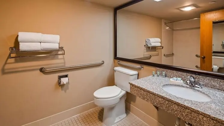 Süit, 1 En Büyük (King) Boy Yatak, Engellilere Uygun (Walk-in Shower;with Sofabed)
