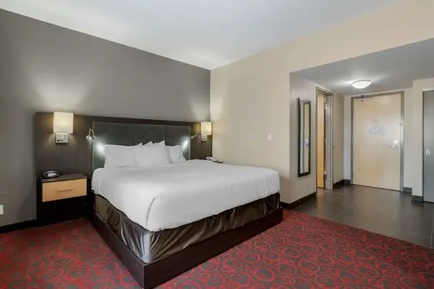 Oda, 1 En Büyük (King) Boy Yatak, Sigara İçilmez, Buzdolabı ve Mikrodalga (Pet Friendly)