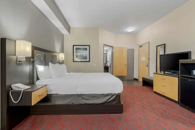 Oda, 1 En Büyük (King) Boy Yatak, Sigara İçilmez, Buzdolabı ve Mikrodalga (Pet Friendly)
