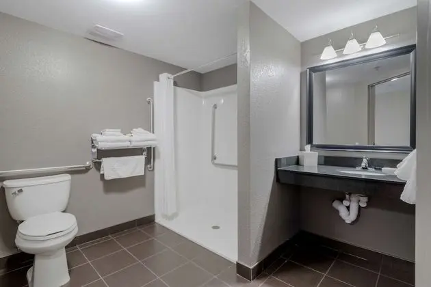 Oda, 1 En Büyük (King) Boy Yatak, Sigara İçilmez, Buzdolabı ve Mikrodalga (Pet Friendly)
