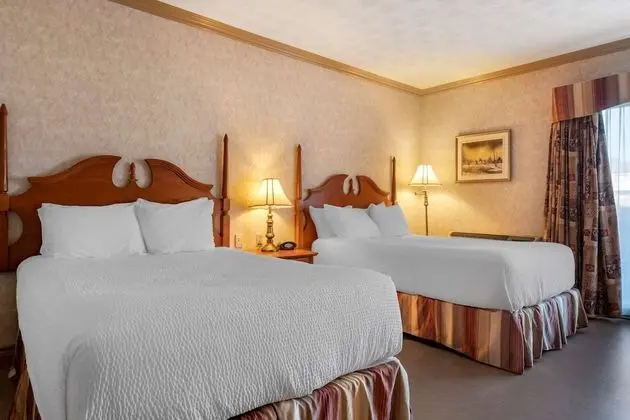 Süit, 2 Büyük (Queen) Boy Yatak, Sigara İçilmez, Buzdolabı ve Mikrodalga