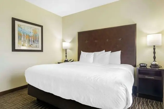 Oda