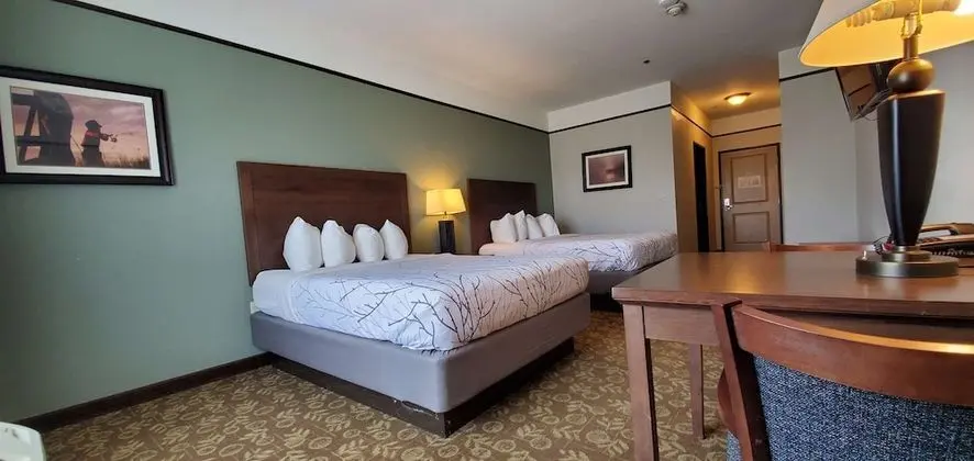 Standard Oda, 2 Büyük (Queen) Boy Yatak, Sigara İçilmez, Buzdolabı ve Mikrodalga