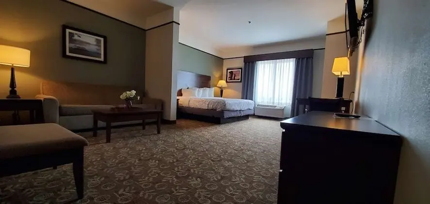 Süit, 1 En Büyük (King) Boy Yatak, Sigara İçilmez, Buzdolabı ve Mikrodalga (with Sofabed)