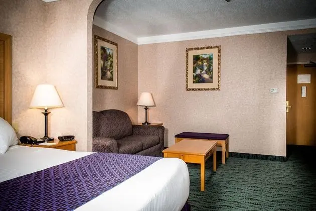 Süit, 1 En Büyük (King) Boy Yatak, Sigara İçilmez, Buzdolabı ve Mikrodalga (Oversized Room)