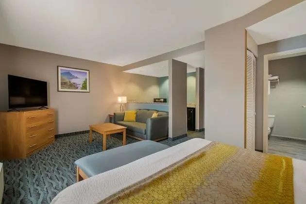 Süit, 1 En Büyük (King) Boy Yatak, Sigara İçilmez, Buzdolabı ve Mikrodalga (Oversized Room)