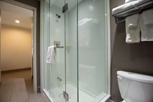 Executive Oda, 1 En Büyük (King) Boy Yatak, Sigara İçilmez, Buzdolabı ve Mikrodalga (Queen sofabed)
