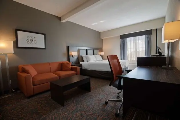 Executive Oda, 1 En Büyük (King) Boy Yatak ve Çekyat, Sigara İçilmez (with Sofabed)