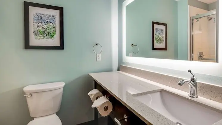 Standard Oda, 1 En Büyük (King) Boy Yatak, Sigara İçilmez, Küçük Mutfak