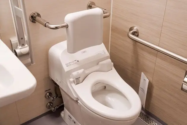 Deluxe Oda, 2 Tek Kişilik Yatak, Engellilere Uygun, Sigara İçilmez