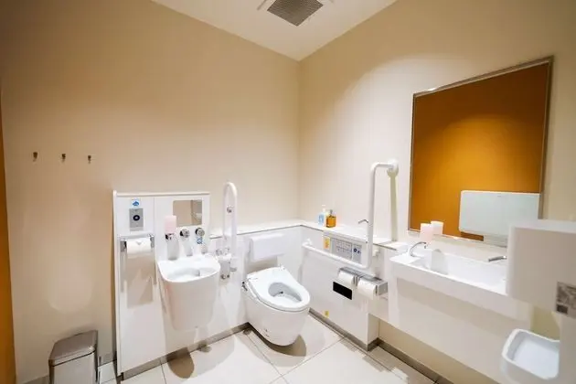 Deluxe Oda, 2 Tek Kişilik Yatak, Engellilere Uygun, Sigara İçilmez