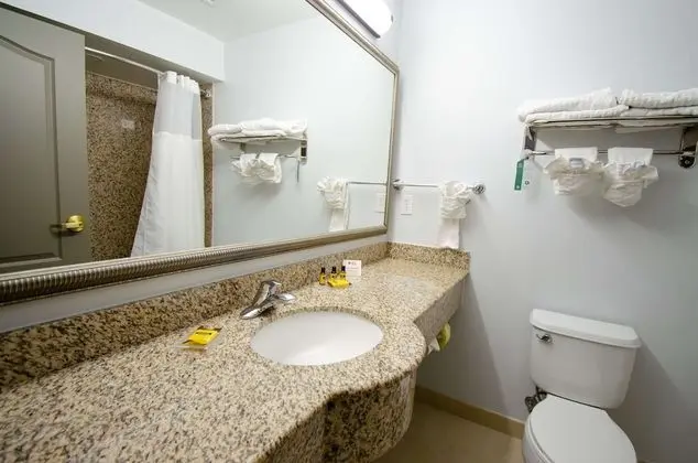 Standard Oda, 1 En Büyük (King) Boy Yatak, Sigara İçilmez, Buzdolabı ve Mikrodalga