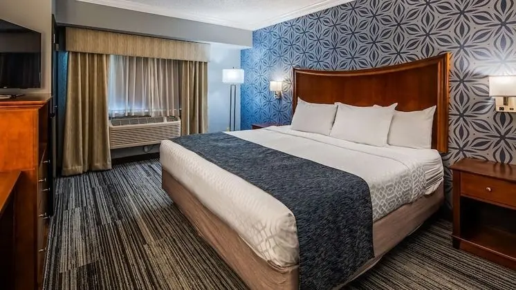 Standard Oda, 1 Büyük (Queen) Boy Yatak, Engellilere Uygun, Küvet (Pet Friendly)
