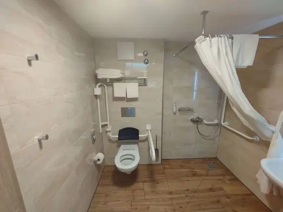 Standard Oda, 2 Tek Kişilik Yatak, Engellilere Uygun (with Two Single SofaBeds)