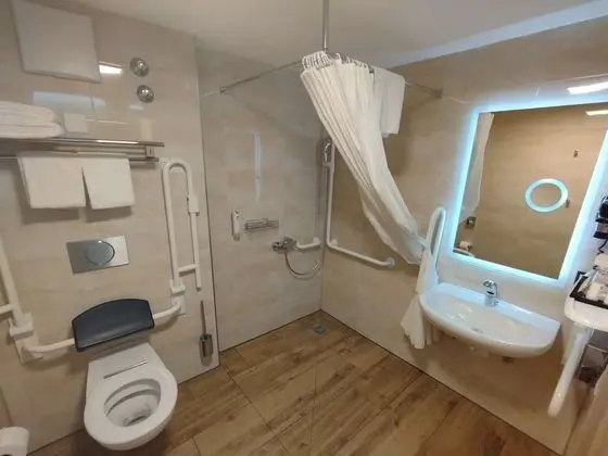 Standard Oda, 2 Tek Kişilik Yatak, Engellilere Uygun (with Two Single SofaBeds)