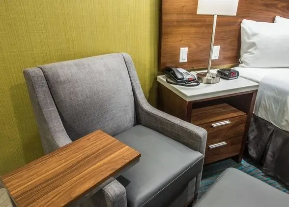 Standard Oda, Birden Çok Yatak, Sigara İçilmez, Buzdolabı ve Mikrodalga (with Sofabed)
