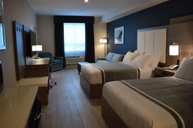 Standard Oda, Birden Çok Yatak, Sigara İçilmez, Buzdolabı ve Mikrodalga (with Sofabed)