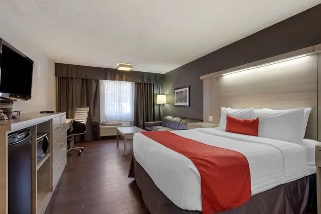 Standard Oda, 1 Büyük (Queen) Boy Yatak, Sigara İçilmez (Pet Friendly;with Sofabed)