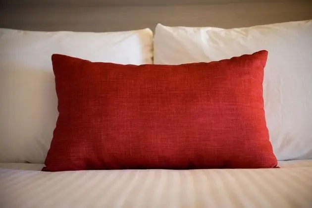 Standard Oda, 1 Büyük (Queen) Boy Yatak, Sigara İçilmez (Pet Friendly;with Sofabed)