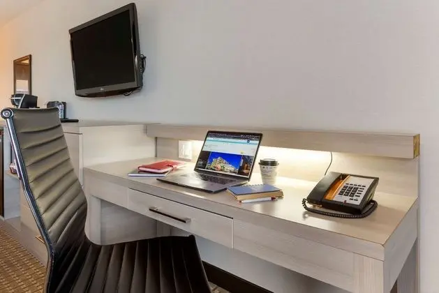 Standard Oda, 1 Büyük (Queen) Boy Yatak, Sigara İçilmez (Pet Friendly;with Sofabed)