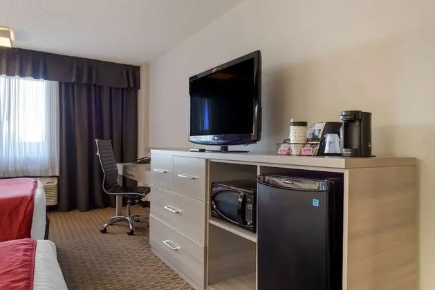 Standard Oda, 1 Büyük (Queen) Boy Yatak, Sigara İçilmez (Pet Friendly;with Sofabed)