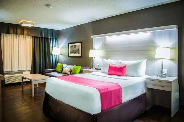 Standard Oda, 1 Büyük (Queen) Boy Yatak, Sigara İçilmez (Pet Friendly;with Sofabed)