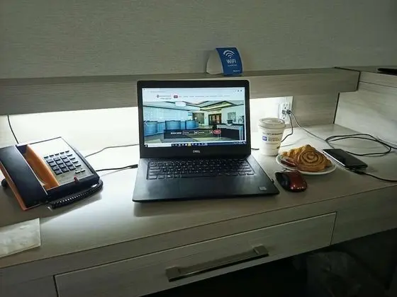 Standard Oda, 1 Büyük (Queen) Boy Yatak, Sigara İçilmez (Pet Friendly;with Sofabed)