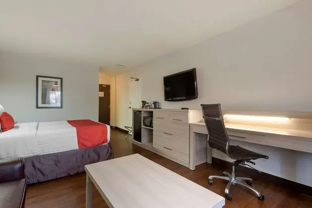 Standard Oda, 1 Büyük (Queen) Boy Yatak, Sigara İçilmez (Pet Friendly;with Sofabed)