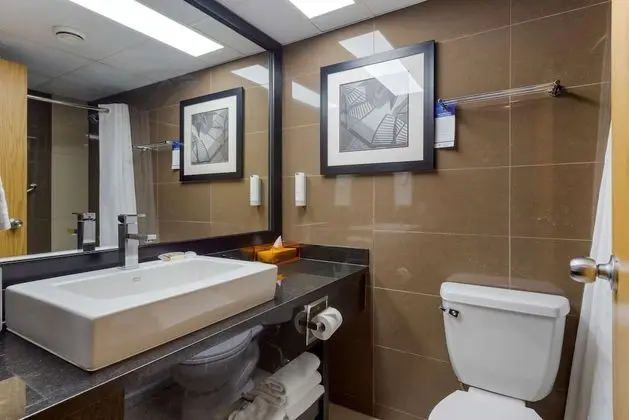 Standard Oda, 1 Büyük (Queen) Boy Yatak, Sigara İçilmez (Pet Friendly;with Sofabed)