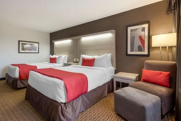 Standard Oda, 2 Büyük (Queen) Boy Yatak, Sigara İçilmez, Buzdolabı ve Mikrodalga (Pet Friendly)