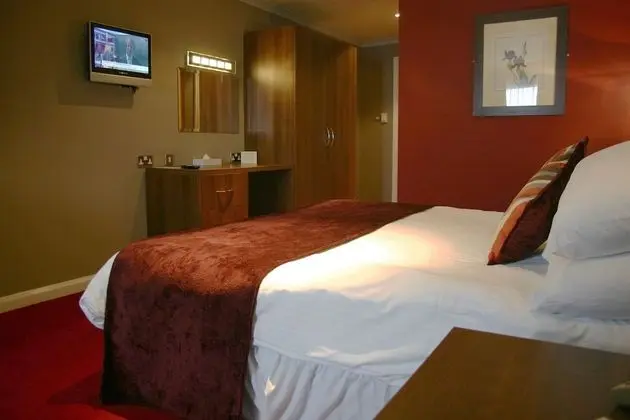 Deluxe Tek Büyük Yataklı Oda, Engellilere Uygun