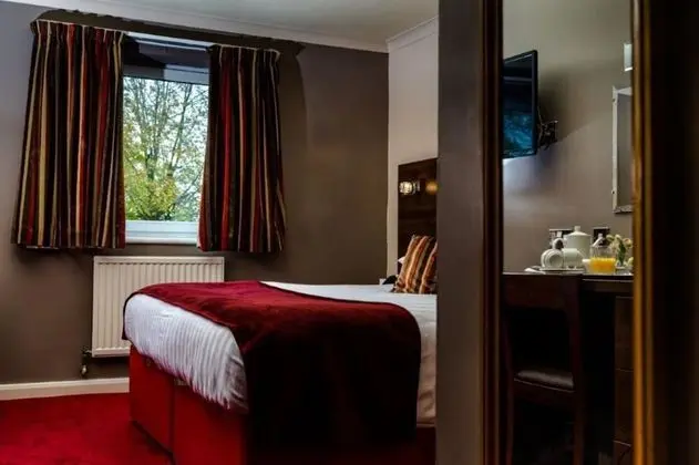 Deluxe Tek Büyük Yataklı Oda, Engellilere Uygun