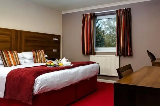 Deluxe Tek Büyük Yataklı Oda, Engellilere Uygun