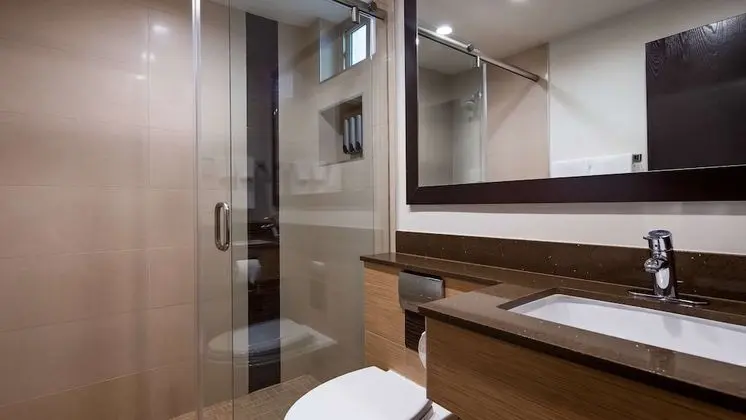 Standard Oda, 2 Büyük (Queen) Boy Yatak, Sigara İçilmez, Buzdolabı ve Mikrodalga (Shower Only)