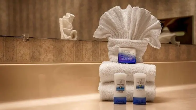Standard Oda, 1 En Büyük (King) Boy Yatak, Engellilere Uygun, Sigara İçilmez (Walk-in Shower)