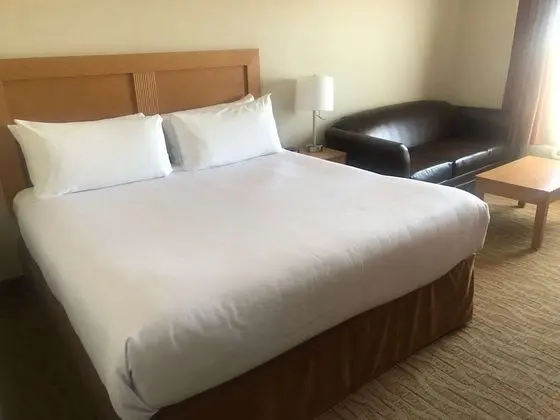 Standard Oda, 1 En Büyük (King) Boy Yatak, Sigara İçilmez, Buzdolabı