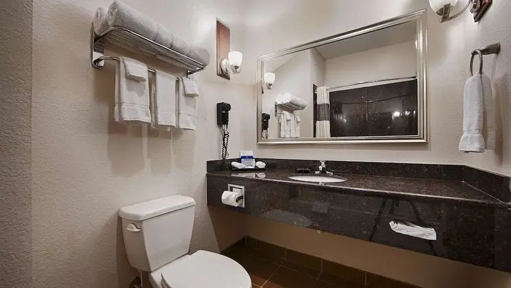 Deluxe Süit, Birden Çok Yatak, Sigara İçilmez, Buzdolabı ve Mikrodalga (with Sofabed)