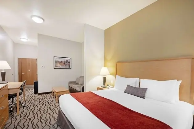 Süit, 1 En Büyük (King) Boy Yatak, Engellilere Uygun, Sigara İçilmez