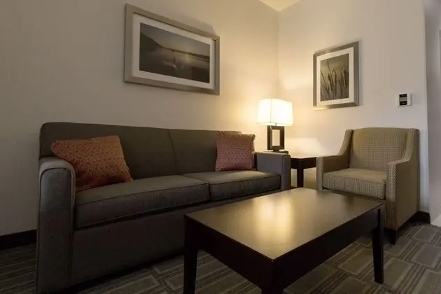 Süit, Birden Çok Yatak, Engellilere Uygun, Küvet (with Sofabed)