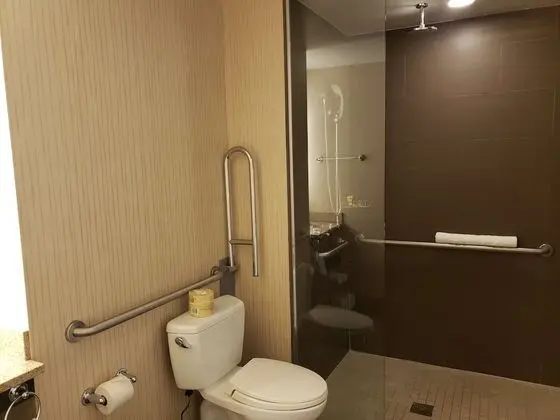 Standard Oda, 1 En Büyük (King) Boy Yatak, Engellilere Uygun, Sigara İçilmez (Walk-in Shower)
