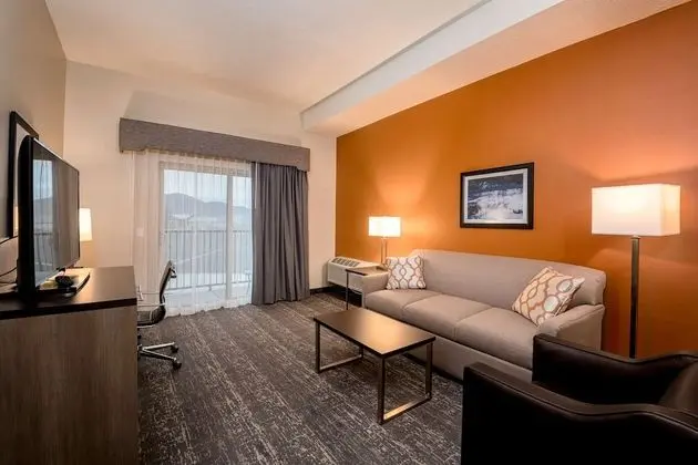 Standard Oda, 2 Büyük (Queen) Boy Yatak, Sigara İçilmez, Balkon (Pet Friendly;with Sofabed)