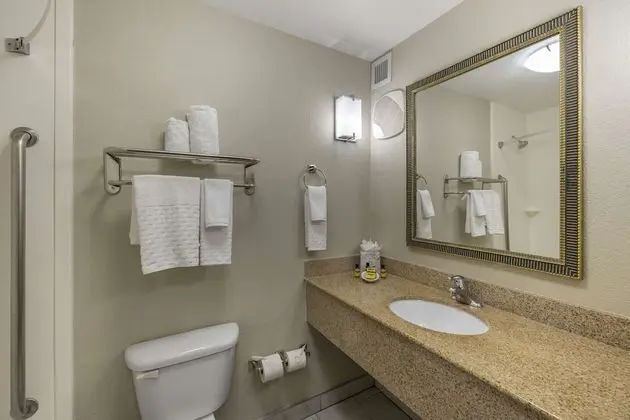 Standard Oda, 1 En Büyük (King) Boy Yatak, Sigara İçilmez, Buzdolabı ve Mikrodalga (Shower Only)