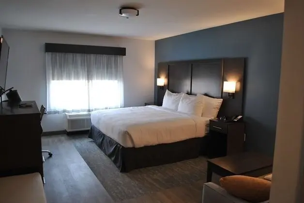 Standard Oda, 1 En Büyük (King) Boy Yatak, Sigara İçilmez (Shower Only;with Sofabed)