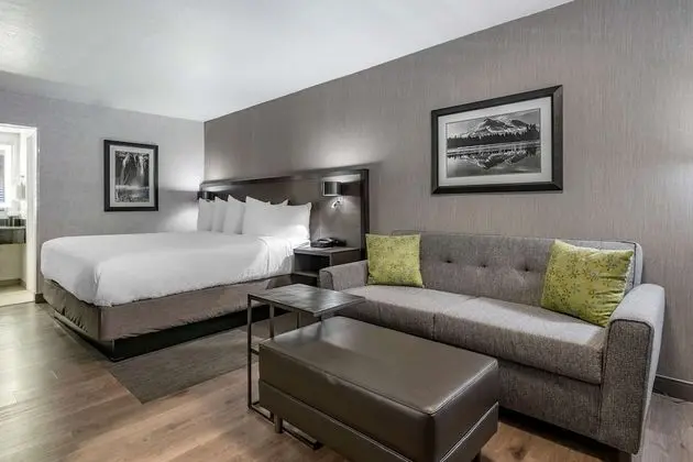 Executive Oda, 1 En Büyük (King) Boy Yatak, Sigara İçilmez (Pet Friendly;with Sofabed)