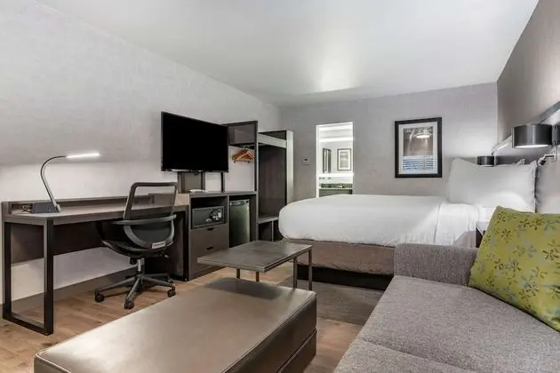 Executive Oda, 1 En Büyük (King) Boy Yatak, Sigara İçilmez (Pet Friendly;with Sofabed)