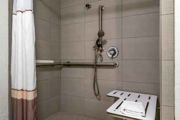 Standard Oda, 1 Büyük (Queen) Boy Yatak, Engellilere Uygun, Havuz Kenarı (Poolside)