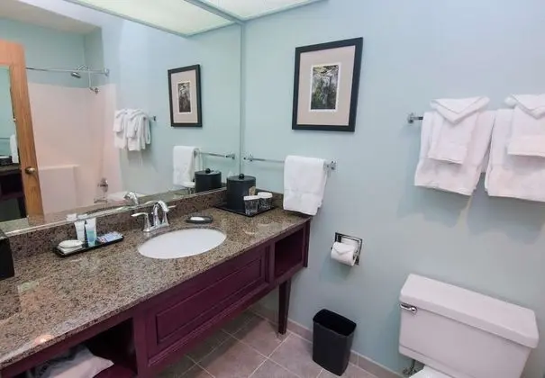 Deluxe Oda, 2 Büyük (Queen) Boy Yatak, Küvet, Nehir Manzaralı (Pet Friendly by Request)